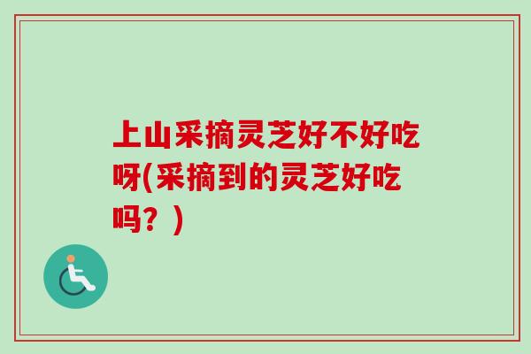 上山采摘灵芝好不好吃呀(采摘到的灵芝好吃吗？)-第1张图片-卓越灵芝孢子粉