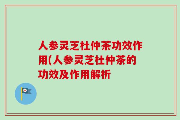 人参灵芝杜仲茶功效作用(人参灵芝杜仲茶的功效及作用解析-第1张图片-卓越灵芝孢子粉