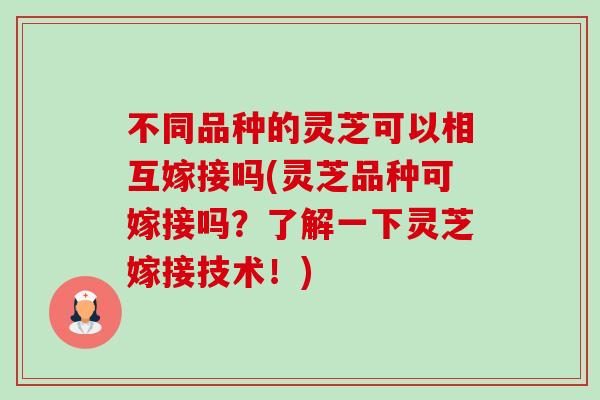 不同品种的灵芝可以相互嫁接吗(灵芝品种可嫁接吗？了解一下灵芝嫁接技术！)-第1张图片-卓越灵芝孢子粉