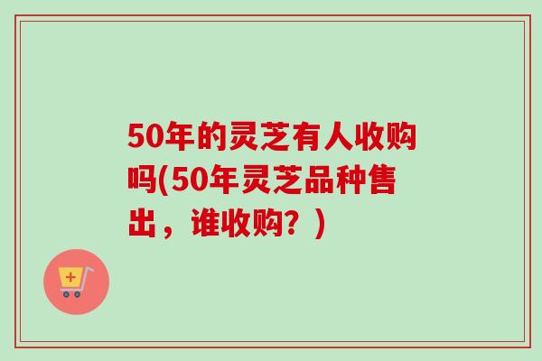 50年的灵芝有人收购吗(50年灵芝品种售出,谁收购?)-第1张图片-卓越灵芝孢子粉 50年的灵芝有人收购吗(50年灵芝品种售出,谁收购?)-第1张图片-卓越灵芝孢子粉