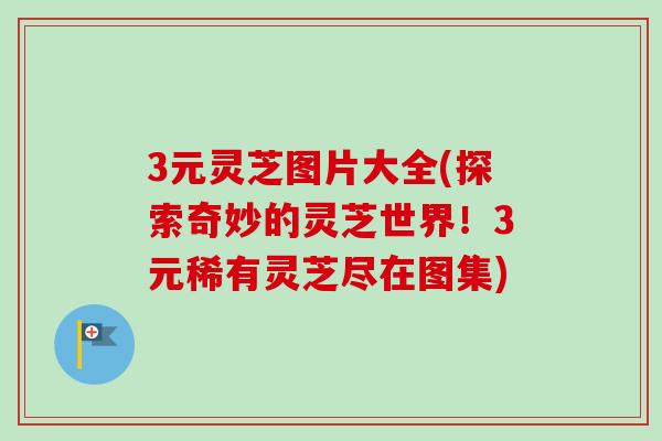 3元灵芝图片大全(探索奇妙的灵芝世界！3元稀有灵芝尽在图集)-第1张图片-卓越灵芝孢子粉