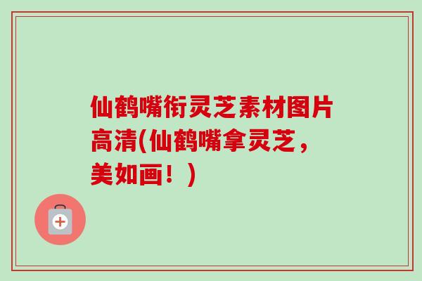 仙鹤嘴衔灵芝素材图片高清(仙鹤嘴拿灵芝,美如画!)-第1张图片-卓越灵芝孢子粉 仙鹤嘴衔灵芝素材图片高清(仙鹤嘴拿灵芝,美如画!)-第1张图片-卓越灵芝孢子粉