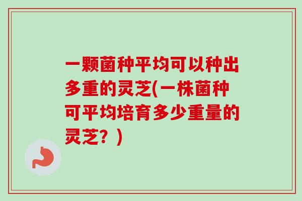 一颗菌种平均可以种出多重的灵芝(一株菌种可平均培育多少重量的灵芝？)-第1张图片-卓越灵芝孢子粉