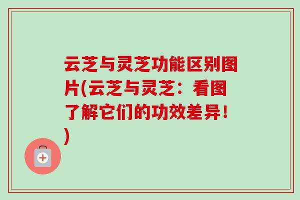 云芝与灵芝功能区别图片(云芝与灵芝:看图了解它们的功效差异!)-第1张图片-卓越灵芝孢子粉 云芝与灵芝功能区别图片(云芝与灵芝:看图了解它们的功效差异!)-第1张图片-卓越灵芝孢子粉