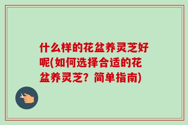 什么样的花盆养灵芝好呢(如何选择合适的花盆养灵芝?简单指南)-第1张图片-卓越灵芝孢子粉 什么样的花盆养灵芝好呢(如何选择合适的花盆养灵芝?简单指南)-第1张图片-卓越灵芝孢子粉