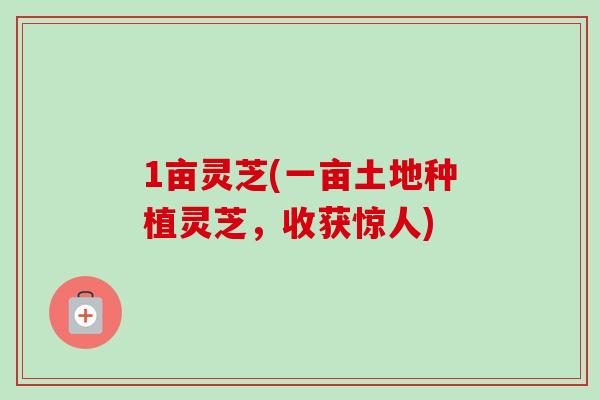 1亩灵芝(一亩土地种植灵芝,收获惊人)-第1张图片-卓越灵芝孢子粉 1亩灵芝(一亩土地种植灵芝,收获惊人)-第1张图片-卓越灵芝孢子粉