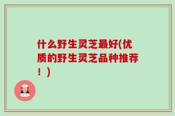 什么野生灵芝最好(优质的野生灵芝品种推荐!)-第1张图片-卓越灵芝孢子粉 什么野生灵芝最好(优质的野生灵芝品种推荐!)-第1张图片-卓越灵芝孢子粉
