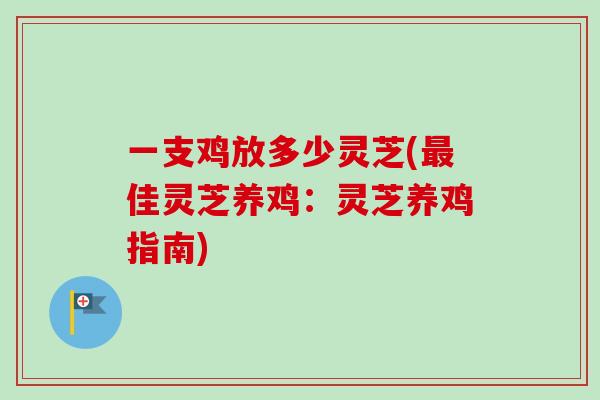 一支鸡放多少灵芝(最佳灵芝养鸡:灵芝养鸡指南)-第1张图片-卓越灵芝孢子粉 一支鸡放多少灵芝(最佳灵芝养鸡:灵芝养鸡指南)-第1张图片-卓越灵芝孢子粉