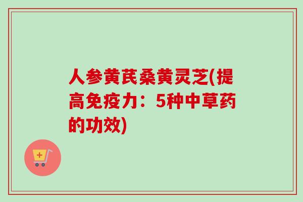 人参黄芪桑黄灵芝(提高免疫力:5种中草药的功效)-第1张图片-卓越灵芝孢子粉 人参黄芪桑黄灵芝(提高免疫力:5种中草药的功效)-第1张图片-卓越灵芝孢子粉