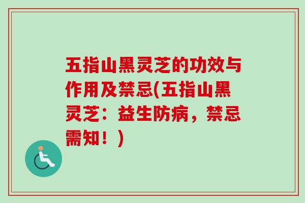 五指山黑灵芝的功效与作用及禁忌(五指山黑灵芝：益生防病，禁忌需知！)-第1张图片-卓越灵芝孢子粉