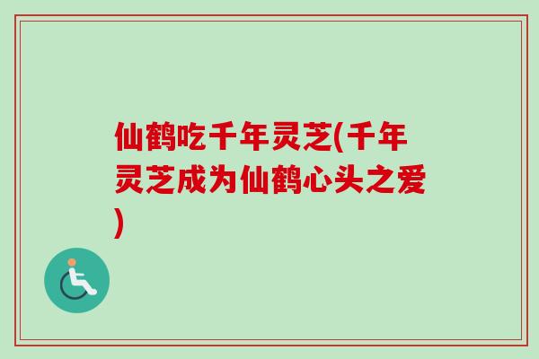 仙鹤吃千年灵芝(千年灵芝成为仙鹤心头之爱)-第1张图片-卓越灵芝孢子粉 仙鹤吃千年灵芝(千年灵芝成为仙鹤心头之爱)-第1张图片-卓越灵芝孢子粉