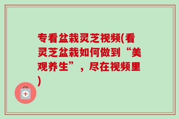 专看盆栽灵芝视频(看灵芝盆栽如何做到“美观养生”,尽在视频里)-第1张图片-卓越灵芝孢子粉 专看盆栽灵芝视频(看灵芝盆栽如何做到“美观养生”,尽在视频里)-第1张图片-卓越灵芝孢子粉