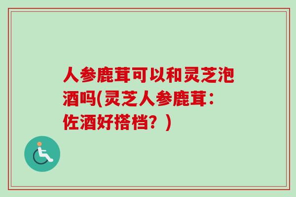 人参鹿茸可以和灵芝泡酒吗(灵芝人参鹿茸：佐酒好搭档？)-第1张图片-卓越灵芝孢子粉