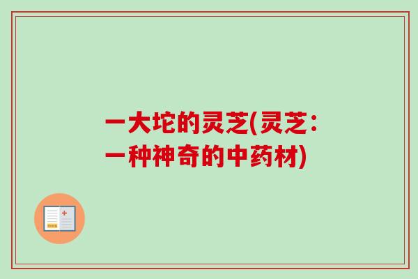一大坨的灵芝(灵芝:一种神奇的中药材)-第1张图片-卓越灵芝孢子粉 一大坨的灵芝(灵芝:一种神奇的中药材)-第1张图片-卓越灵芝孢子粉