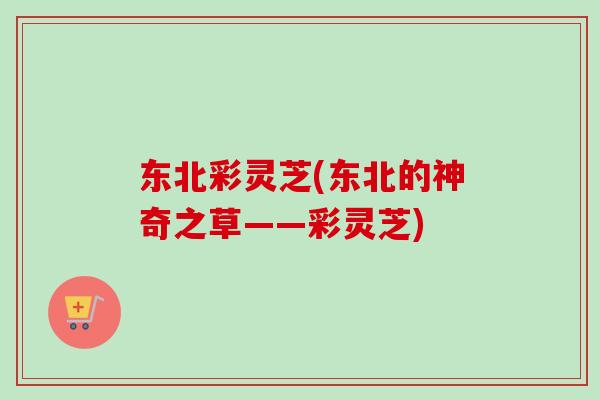 东北彩灵芝(东北的神奇之草——彩灵芝)-第1张图片-卓越灵芝孢子粉 东北彩灵芝(东北的神奇之草——彩灵芝)-第1张图片-卓越灵芝孢子粉