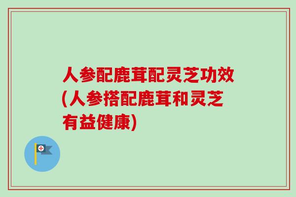 人参配鹿茸配灵芝功效(人参搭配鹿茸和灵芝有益健康)-第1张图片-卓越灵芝孢子粉