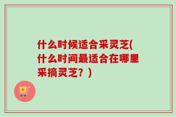 什么时候适合采灵芝(什么时间最适合在哪里采摘灵芝？)-第1张图片-卓越灵芝孢子粉