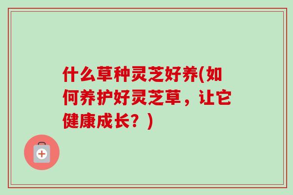 什么草种灵芝好养(如何养护好灵芝草，让它健康成长？)-第1张图片-卓越灵芝孢子粉