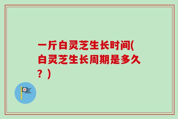 一斤白灵芝生长时间(白灵芝生长周期是多久?)-第1张图片-卓越灵芝孢子粉 一斤白灵芝生长时间(白灵芝生长周期是多久?)-第1张图片-卓越灵芝孢子粉