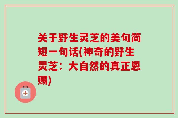 关于野生灵芝的美句简短一句话(神奇的野生灵芝:大自然的真正恩赐)-第1张图片-卓越灵芝孢子粉 关于野生灵芝的美句简短一句话(神奇的野生灵芝:大自然的真正恩赐)-第1张图片-卓越灵芝孢子粉