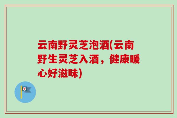 云南野灵芝泡酒(云南野生灵芝入酒，健康暖心好滋味)-第1张图片-卓越灵芝孢子粉