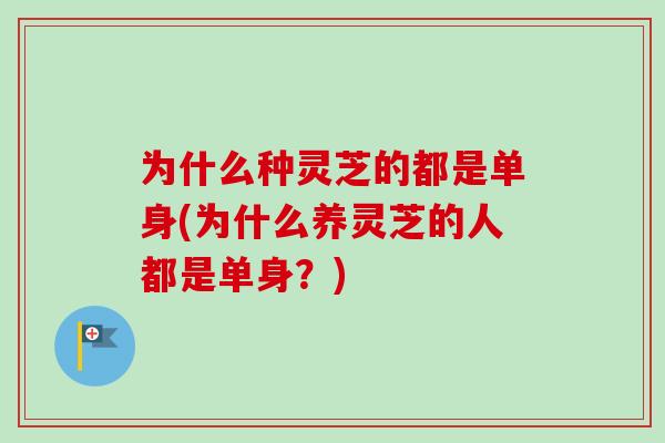 为什么种灵芝的都是单身(为什么养灵芝的人都是单身？)-第1张图片-卓越灵芝孢子粉