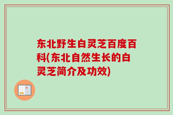 东北野生白灵芝百度百科(东北自然生长的白灵芝简介及功效)-第1张图片-卓越灵芝孢子粉 东北野生白灵芝百度百科(东北自然生长的白灵芝简介及功效)-第1张图片-卓越灵芝孢子粉