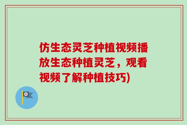 仿生态灵芝种植视频播放生态种植灵芝,观看视频了解种植技巧)-第1张图片-卓越灵芝孢子粉 仿生态灵芝种植视频播放生态种植灵芝,观看视频了解种植技巧)-第1张图片-卓越灵芝孢子粉