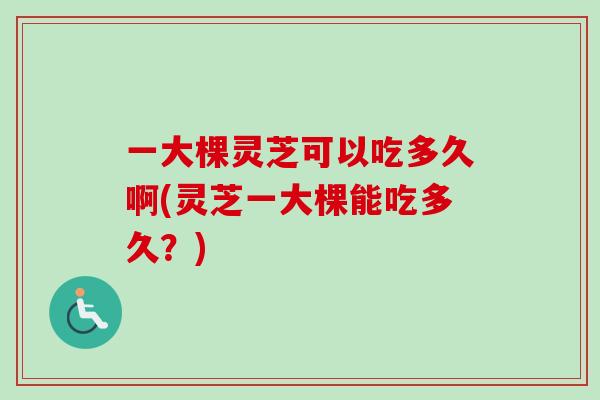 一大棵灵芝可以吃多久啊(灵芝一大棵能吃多久?)-第1张图片-卓越灵芝孢子粉 一大棵灵芝可以吃多久啊(灵芝一大棵能吃多久?)-第1张图片-卓越灵芝孢子粉