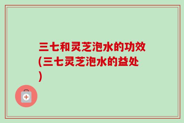 三七和灵芝泡水的功效(三七灵芝泡水的益处)-第1张图片-卓越灵芝孢子粉 三七和灵芝泡水的功效(三七灵芝泡水的益处)-第1张图片-卓越灵芝孢子粉