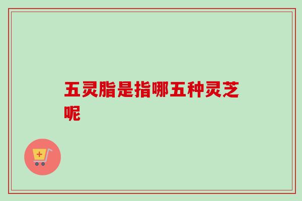 五灵脂是指哪五种灵芝呢-第1张图片-卓越灵芝孢子粉