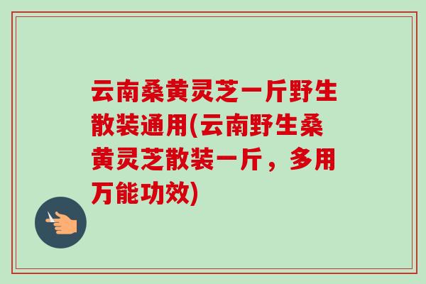 云南桑黄灵芝一斤野生散装通用(云南野生桑黄灵芝散装一斤，多用万能功效)-第1张图片-卓越灵芝孢子粉