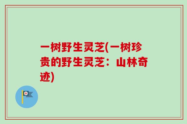 一树野生灵芝(一树珍贵的野生灵芝：山林奇迹)-第1张图片-卓越灵芝孢子粉