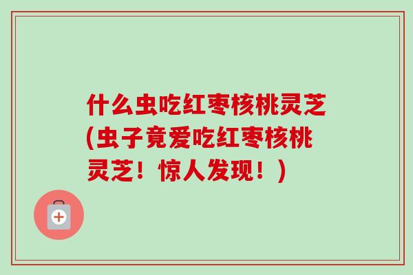 什么虫吃红枣核桃灵芝(虫子竟爱吃红枣核桃灵芝!惊人发现!)-第1张图片-卓越灵芝孢子粉 什么虫吃红枣核桃灵芝(虫子竟爱吃红枣核桃灵芝!惊人发现!)-第1张图片-卓越灵芝孢子粉