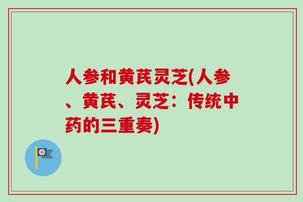 人参和黄芪灵芝(人参、黄芪、灵芝:传统中药的三重奏)-第1张图片-卓越灵芝孢子粉 人参和黄芪灵芝(人参、黄芪、灵芝:传统中药的三重奏)-第1张图片-卓越灵芝孢子粉