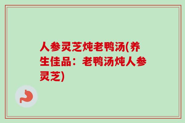 人参灵芝炖老鸭汤(养生佳品：老鸭汤炖人参灵芝)-第1张图片-卓越灵芝孢子粉