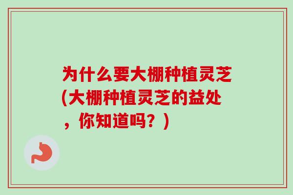 为什么要大棚种植灵芝(大棚种植灵芝的益处,你知道吗?)-第1张图片-卓越灵芝孢子粉 为什么要大棚种植灵芝(大棚种植灵芝的益处,你知道吗?)-第1张图片-卓越灵芝孢子粉