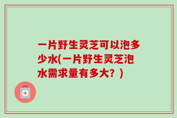 一片野生灵芝可以泡多少水(一片野生灵芝泡水需求量有多大？)-第1张图片-卓越灵芝孢子粉