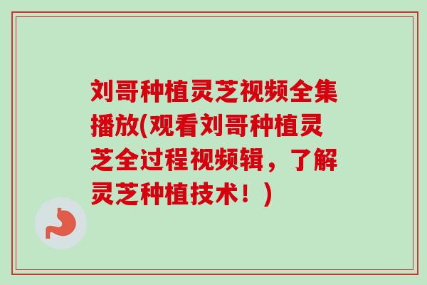 刘哥种植灵芝视频全集播放(观看刘哥种植灵芝全过程视频辑，了解灵芝种植技术！)-第1张图片-卓越灵芝孢子粉