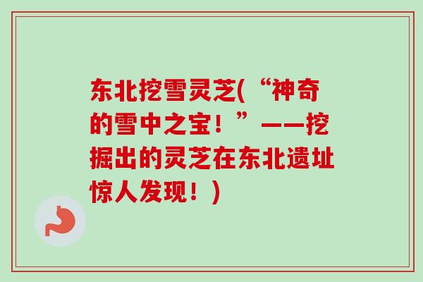东北挖雪灵芝(“神奇的雪中之宝！”——挖掘出的灵芝在东北遗址惊人发现！)-第1张图片-卓越灵芝孢子粉