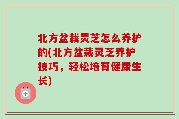 北方盆栽灵芝怎么养护的(北方盆栽灵芝养护技巧,轻松培育健康生长)-第1张图片-卓越灵芝孢子粉 北方盆栽灵芝怎么养护的(北方盆栽灵芝养护技巧,轻松培育健康生长)-第1张图片-卓越灵芝孢子粉