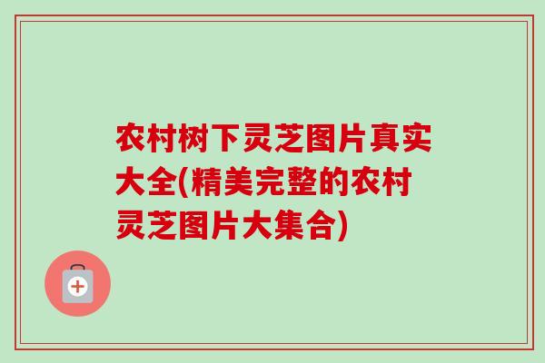农村树下灵芝图片真实大全(精美完整的农村灵芝图片大集合)-第1张图片-卓越灵芝孢子粉 农村树下灵芝图片真实大全(精美完整的农村灵芝图片大集合)-第1张图片-卓越灵芝孢子粉