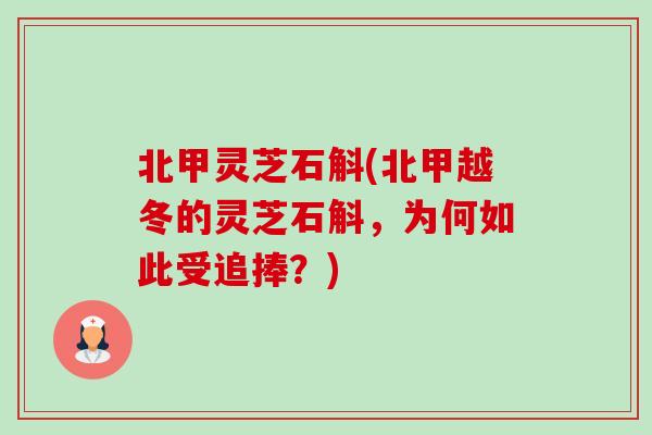 北甲灵芝石斛(北甲越冬的灵芝石斛，为何如此受追捧？)-第1张图片-卓越灵芝孢子粉