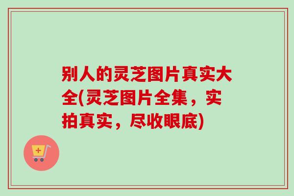 别人的灵芝图片真实大全(灵芝图片全集，实拍真实，尽收眼底)-第1张图片-卓越灵芝孢子粉