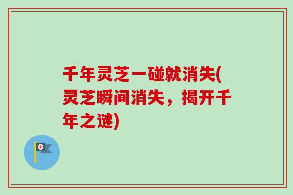 千年灵芝一碰就消失(灵芝瞬间消失，揭开千年之谜)-第1张图片-卓越灵芝孢子粉