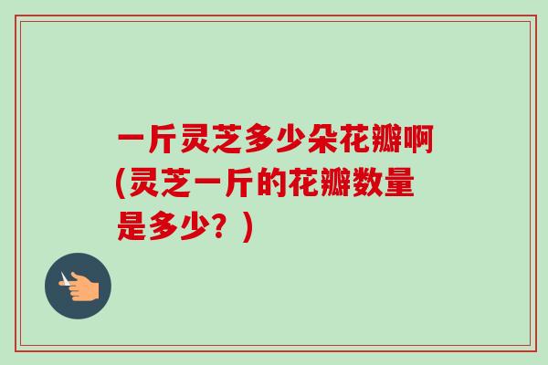 一斤灵芝多少朵花瓣啊(灵芝一斤的花瓣数量是多少?)-第1张图片-卓越灵芝孢子粉 一斤灵芝多少朵花瓣啊(灵芝一斤的花瓣数量是多少?)-第1张图片-卓越灵芝孢子粉