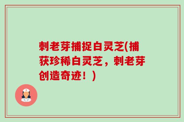 刺老芽捕捉白灵芝(捕获珍稀白灵芝,刺老芽创造奇迹!)-第1张图片-卓越灵芝孢子粉 刺老芽捕捉白灵芝(捕获珍稀白灵芝,刺老芽创造奇迹!)-第1张图片-卓越灵芝孢子粉