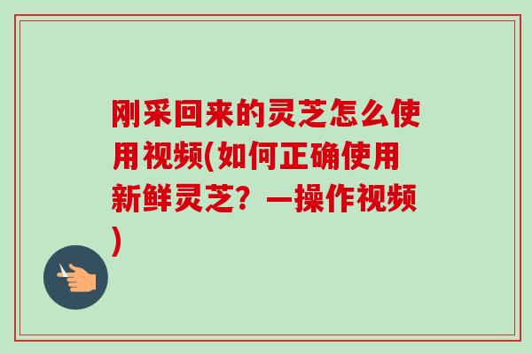 刚采回来的灵芝怎么使用视频(如何正确使用新鲜灵芝？—操作视频)-第1张图片-卓越灵芝孢子粉