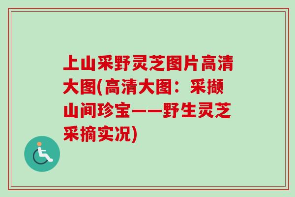 上山采野灵芝图片高清大图(高清大图:采撷山间珍宝——野生灵芝采摘实况)-第1张图片-卓越灵芝孢子粉 上山采野灵芝图片高清大图(高清大图:采撷山间珍宝——野生灵芝采摘实况)-第1张图片-卓越灵芝孢子粉