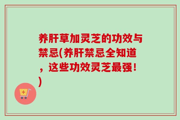 养肝草加灵芝的功效与禁忌(养肝禁忌全知道，这些功效灵芝最强！)-第1张图片-卓越灵芝孢子粉